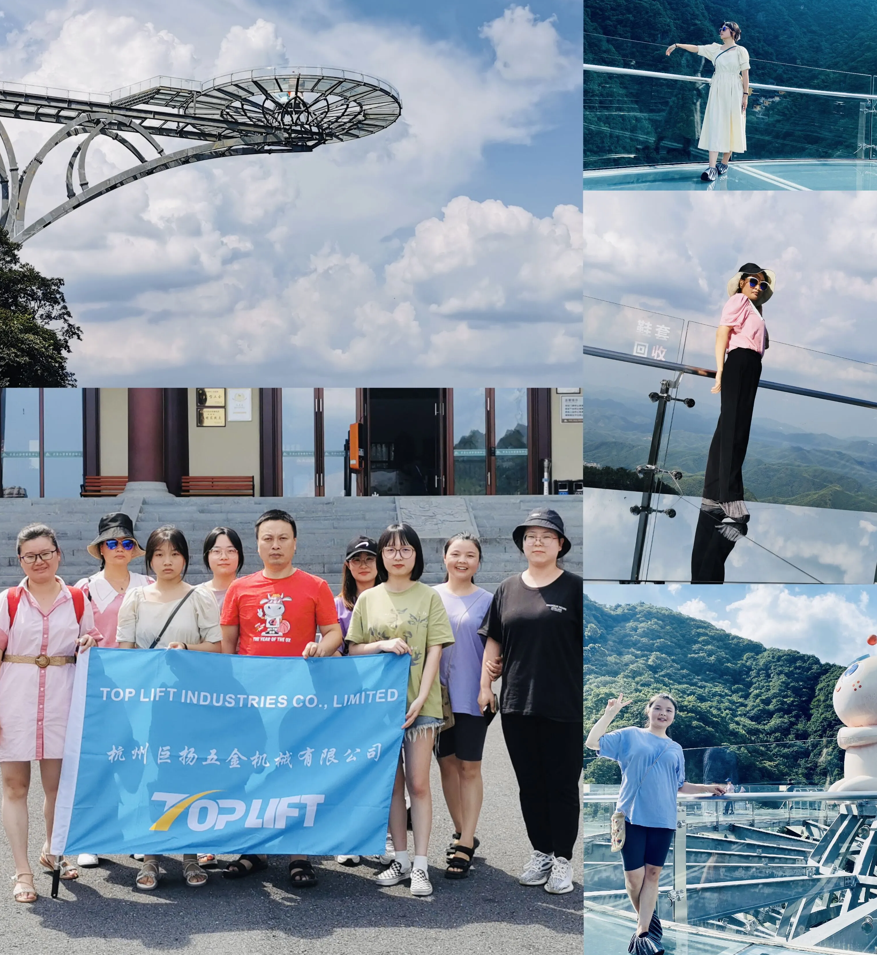 أنشطة الشركة